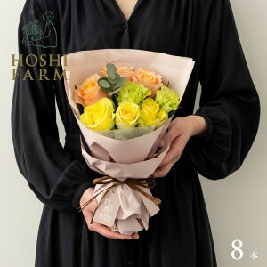 zVt@[@tu[P@pbV8{yzbZ[WJ[hI v[g Mtg  IWibZ[WI  Mtg o KN [Y ԑ IW C