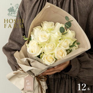 zVt@[@tu[P@sA12{yzbZ[WJ[hI v[g Mtg  IWibZ[WI  Mtg o KN [Y ԑ  Ao`