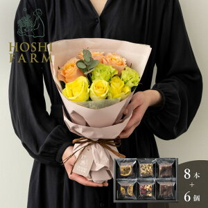 zVt@[@tu[P@pbV8{zVt[c@ibcƃhCt[cґuEj[@6yzbZ[WJ[hI v[g Mtg  IW