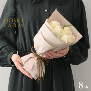 zVt@[@tu[P@sA8{yzbZ[WJ[hI v[g Mtg  IWibZ[WI  Mtg o KN [Y ԑ  Ao`F