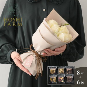 zVt@[@tu[P@sA8{zVt[c@ibcƃhCt[cґuEj[@6yzbZ[WJ[hI v[g Mtg  IWi