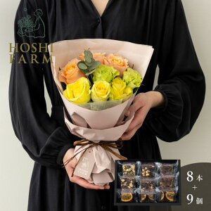 zVt@[@tu[P@pbV8{zVt[c@ibcƃhCt[cґuEj[@9yzbZ[WJ[hI v[g Mtg  IW