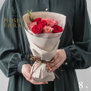 zVt@[@tu[P@jAXbh8{yzbZ[WJ[hI v[g Mtg  IWibZ[WI  Mtg o KN [Y ԑ R