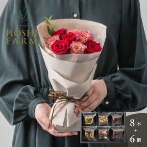 zVt@[@tu[P@jAXbh8{zVt[c@ibcƃhCt[cґuEj[@6yzbZ[WJ[hI v[g Mtg  