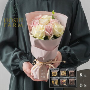 zVt@[@tu[P@zCgsN8{zVt[c@ibcƃhCt[cґuEj[@6yzbZ[WJ[hI v[g Mtg  I