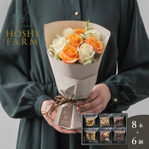 zVt@[@tu[P@zCgIW8{zVt[c@ibcƃhCt[cґuEj[@6yzbZ[WJ[hI v[g Mtg  