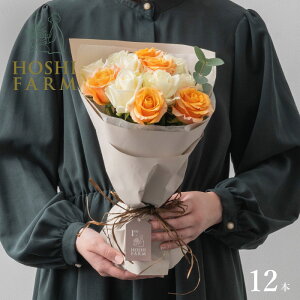 zVt@[@tu[P@zCgIW12{yzbZ[WJ[hI v[g Mtg  IWibZ[WI  Mtg o KN [Y ԑ R