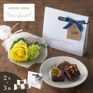 zVt@[@KÑ~ju[P@pbV2{zVt[c@ibcƃhCt[cґuEj[@3yzbZ[WJ[hI v[g Mtg  