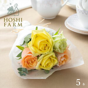 zVt@[@v`MtgV[Y@E݂KÑu[P@pbV5{yzbZ[WJ[hI v[g Mtg  IWibZ[WI  Mtg o