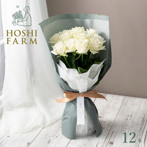 zVt@[@͂pł̂܂܏X^fBOKNu[P@sA12{yzlEbZ[WJ[hI v[g Mtg   Mtg o [Y ԑ 