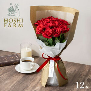 zVt@[@͂pł̂܂܏X^fBOKNu[P@[W12{yzlEbZ[WJ[hI v[g Mtg   Mtg o [Y ԑ