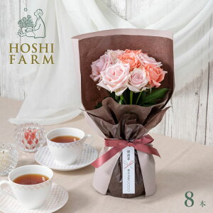 zVt@[@͂pł̂܂܏X^fBOKNu[P@XC[g8{yzlEbZ[WJ[hI v[g Mtg   Mtg o [Y ԑ 