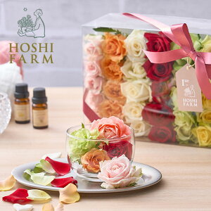 zVt@[@ԃo@fR[V[Y@t[V[EoXt[yzbZ[WJ[hI v[g Mtg  IWibZ[WI  M