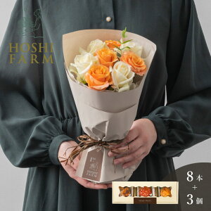 zVt@[@tu[P@zCgIW8{zVt[c@߂ʎ̃JbvP[L@3yzbZ[WJ[hI v[g Mtg  IWib