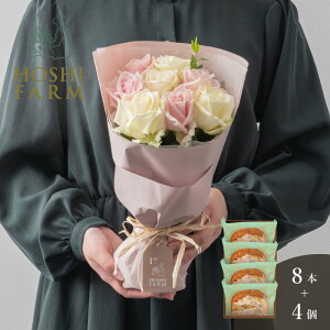 zVt@[@tu[P@zCgsN8{]VFt×zVt[c@7̃t[cl܂ufU[gpEhP[Lv4yzbZ[WJ[hI v[g 