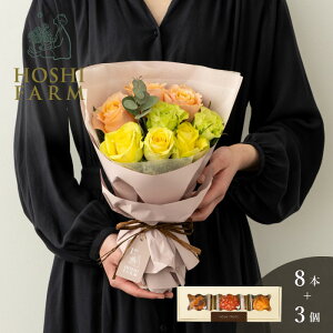 zVt@[@tu[P@pbV8{zVt[c@߂ʎ̃JbvP[L@3yzbZ[WJ[hI v[g Mtg  IWibZ[W