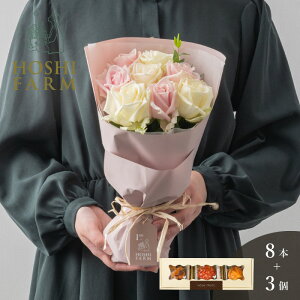 zVt@[@tu[P@zCgsN8{zVt[c@߂ʎ̃JbvP[L@3yzbZ[WJ[hI v[g Mtg  IWibZ