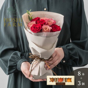 zVt@[@tu[P@jAXbh8{zVt[c@߂ʎ̃JbvP[L@3yzbZ[WJ[hI v[g Mtg  IWib