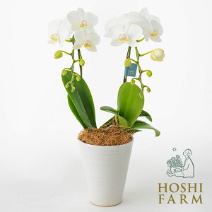 zVt@[@~fBӒ2{ā@4D5yzbZ[WJ[hI v[g Mtg  IWibZ[WI  Mtg ԁ