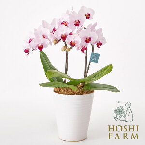 zVt@[@~fBӒ3{ā@ԃbv5yzbZ[WJ[hI v[g Mtg  IWibZ[WI  Mtg ԁ