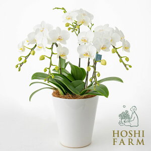 zVt@[@~fBӒ5{ā@6yzbZ[WJ[hI v[g Mtg  IWibZ[WI  Mtg ԁ