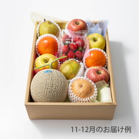 ホシフルーツ おまかせ旬のフルーツBOX E【送料無料】＜メッセージカード・熨斗無料！ プレゼント ギフト お取り寄せ 果物セット 贈答用 季節のフルーツをお届け 目利きが厳選 詰合せギフト＞