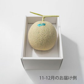 ホシフルーツ おまかせ旬のフルーツBOX A【送料無料】＜メッセージカード・熨斗無料！ プレゼント ギフト お取り寄せ 果物セット 贈答用 ご挨拶 お返し お祝い お見舞い 季節のフルーツをお届け 目利きが厳選 詰合せギフト＞