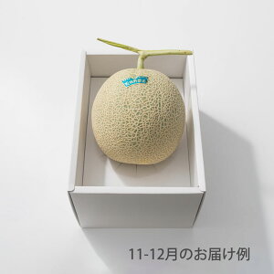 zVt[c ܂{̃t[cBOX AyzbZ[WJ[hElI v[g Mtg  ʕZbg p G߂̃t[c͂ ڗI lMt