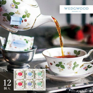 EFbWEbh ChXgx[ eB[obOZbg 12܁bZ[WJ[hElEbsOE񂰎ܖI v[g Mtg  g A[OCt[Y E