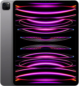 Apple iPad Pro (6) 12.9C` Wi-Fi 128GB Xy[XOC MNXP3J/A Vi ݌ɂ