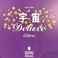 宇宙 ブルーイング ビール 宇宙Deluxe Citra ウチュウデラックスシトラ 350ml 要冷蔵クール便 山梨 八ヶ…