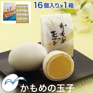 ߂̋ʎq 16 1 茧̖كMtg
