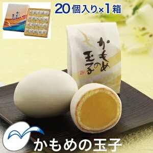 ߂̋ʎq 20 1 茧̖كMtg