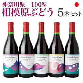 神奈川県産ぶどう使用 さがみの夢 5本セット 720ml 日本ワイン 国産ぶどう 100%使用 富士の夢 使用 アルコール分12.5%