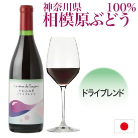 神奈川県産ぶどう使用 さがみの夢 ドライブレンド 2020 720ml 日本ワイン 国産ワイン 100%使用 アルコール分12.5% 辛口