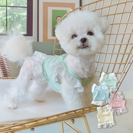 【送料無料】犬服 ドッグウェア 犬 服 ワンピース キャミソール フリル レース お出かけ おすまし 散歩 薄手 ピンク ブルー グリーン イエロー 小型犬 ペットウェア 服 犬の服 プレゼント 人気 かわいい おしゃれ インスタ映え 写真映え ガーリー