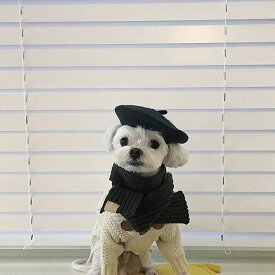 【送料無料】犬服 ドッグウェア 犬 ベレー帽 帽子 カラフル ウール コーディネート 写真映え 秋 冬 韓国風 ゴム紐 調整可 インスタ映え 写真撮影 小物 アクセサリー 撮影アイテム 撮影会 写真 小型犬 通気性 プレゼント かわいい お出かけ