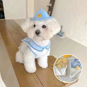 yz^Ngbv Z[[ Aq AbvP MK`FbN  ct ۈ牀  c q Vc  Rbg ʋC JWA  o U v[