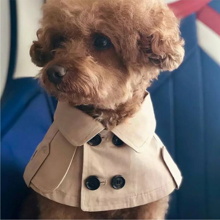 楽天市場】【送料無料】 犬服 ケープ トレンチコート ブリティッシュ 
