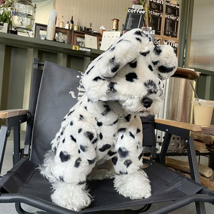 楽天市場】【送料無料】 犬服 ダルメシアン柄 パーカー フーディ 