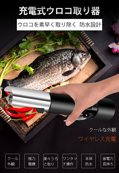 楽天市場 レビュー特典 ウロコ取り 充電式 電動 鱗 家庭 魚加工 工場 魚 うろこ取り うろこ取り うろことり ウロコとり 鱗取り カバー付き 衛生的 キッチン 台所 料理 調理 器具 生活雑貨 日用品 便利 簡単 うろこ取り飛び散らない Hoshinoshop