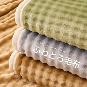 ふわとろ毛布 もこもこ毛布 ブランケット モコモコ とろとろ ふわふわ 毛布 シングル セミダブル ダブル ハーフ クォーター ふわもこ ふわとろ ひざ掛け 厚手 エアロゲル あったか