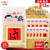 麦味噌 甘口【送料無料】≪九州熊本 特産味噌 ごていしゅ800g×12個≫【塩分控えめ 生みそ】ホシサン常に…
