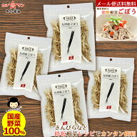 乾燥野菜ごぼう【九州産 乾燥ごぼう】【メール便 送料無料】≪国産 乾燥野菜 (九州産ごぼう35g×4袋セッ…