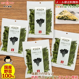 乾燥野菜 ほうれん草【九州産 乾燥ほうれん草】【メール便 送料無料】≪国産 乾燥野菜 (九州産ほうれん草40g×4袋セット≫【国産野菜】味噌汁の具♪サラダ♪和え物♪炒め物♪【保存食 非常食】九州老舗みそ醤油屋ホシサン　乾燥野菜ホウレンソウ ホウレン草 法蓮草