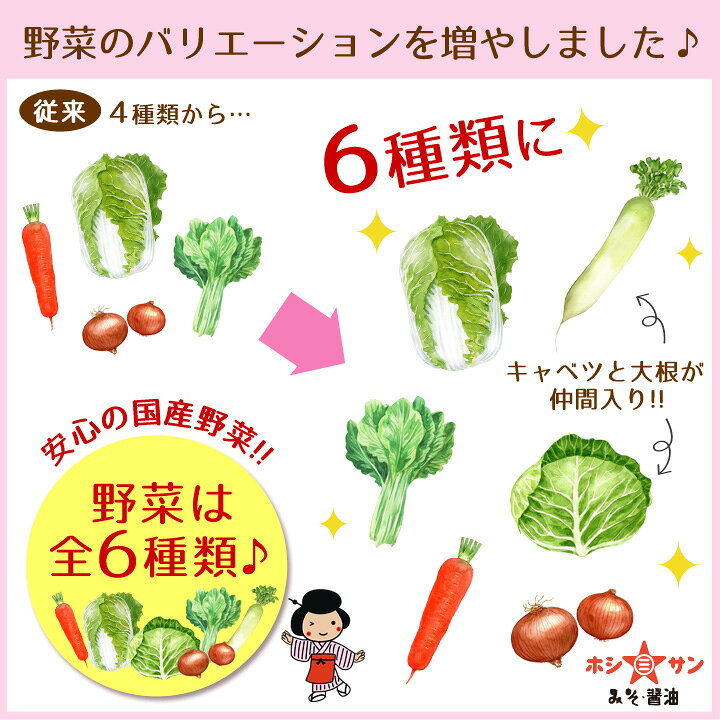 1円 豊富なギフト 乾燥野菜 白菜みそ汁の具 40g 国産 人参 小松菜 玉ねぎ