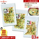 乾燥野菜ミックス 120g【1000円ポッキリ】【メール便 送料無料】≪乾燥野菜 (白菜 人参 キャベツ 大根 玉ねぎ 小松菜の贅沢6種)合計3個セット(40g...