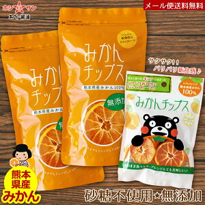 みかん 紅茶 ドライフルーツの人気商品 通販 価格比較 価格 Com