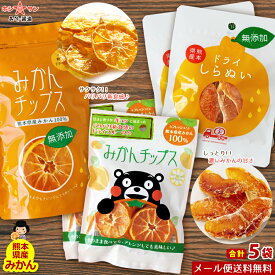 楽天市場 みかんチップスの通販