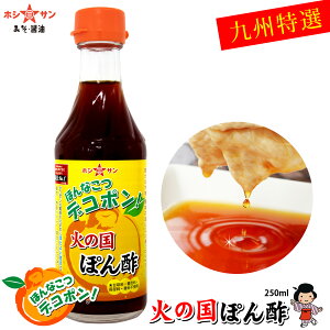 fR|||yBF{̖izfR|ʏ`ՂґgpIfR|I΂̍ۂ| RpNg{g 250mlyۑsgpzF{YyfR|zyBEF{̘V܏ݖ